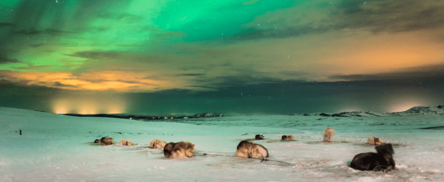THE BEST PLACES TO SEE THE NORTHERN LIGHTS IN ICELAND