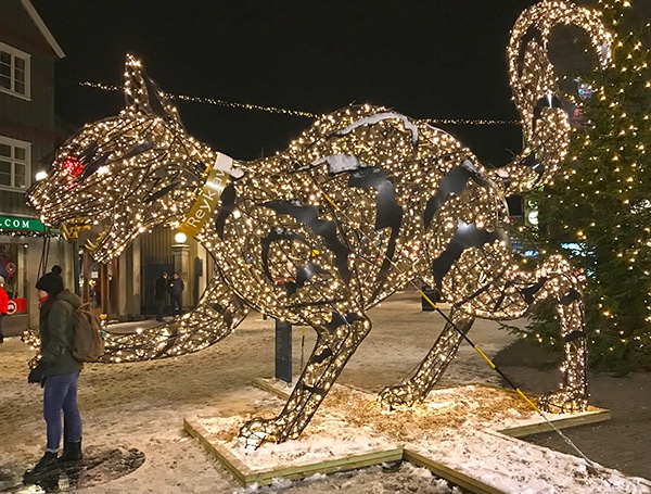 No one wants to get snatched by the Christmas cat!